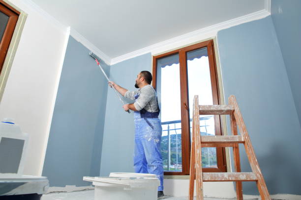 Best Drywall Removal and Disposal  in Findlay, OH